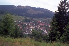 img003