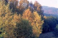 img020