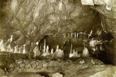 image006