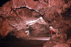 img041