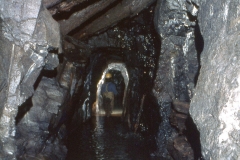 img036