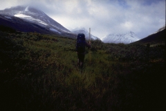 img0004