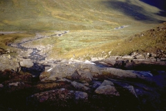 img0009