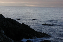 epsn0013