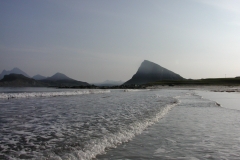 EPSON DSC picture