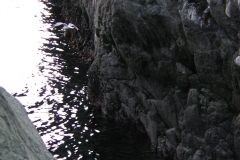 epsn0062
