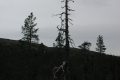 epsn0046