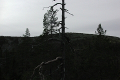 epsn0047