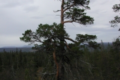 epsn0048