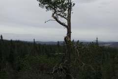 epsn0050
