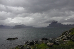 EPSON DSC picture