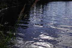 epsn0018