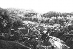 histimg029