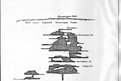 rosenh-s006