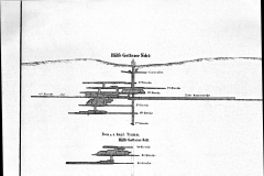 sinaal-s001