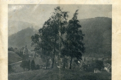 histimg012