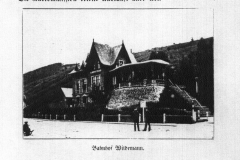 histimg042