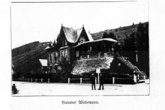 histimg046