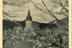 hbk1950-001