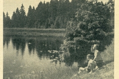 hbk1950-002