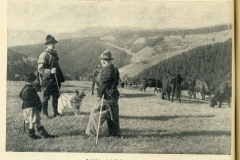 hbk1950-007
