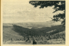 hbk1950-008
