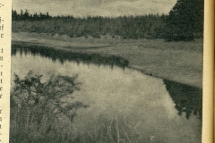 hbk1950-009