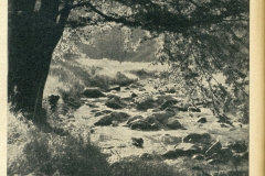 hbk1950-011