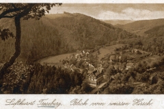 harz008