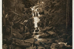 harz019