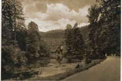 harz020
