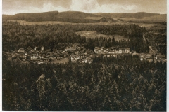 harz021