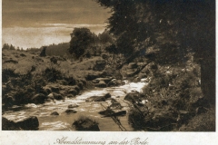 harz023