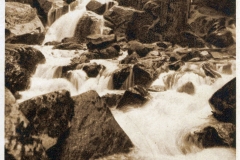 harz028