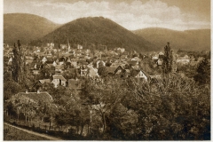 harz033