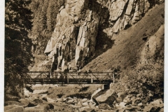 harz036