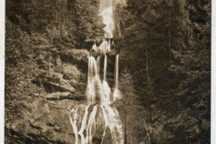 harz037