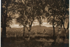 harz040