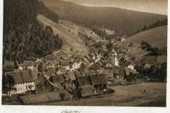 harz041