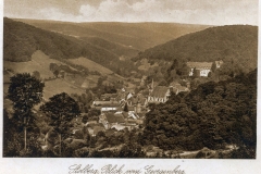 harz066