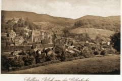 harz069