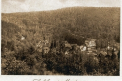harz076
