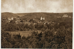 harz079