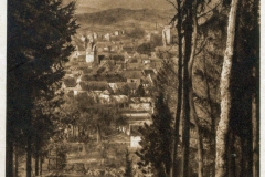 harz091