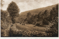 harz093