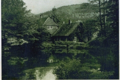 hzgrn003