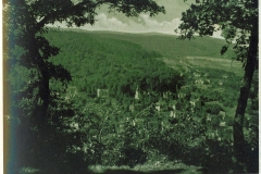 hzgrn004
