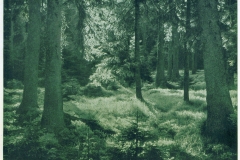 hzgrn005