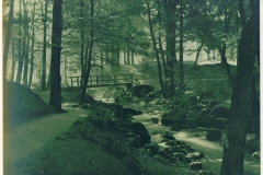 hzgrn006