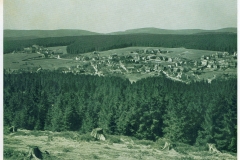 hzgrn009